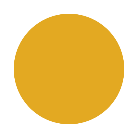 YY